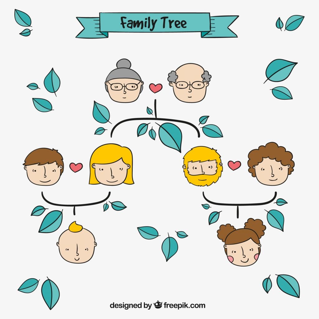 Family lineage